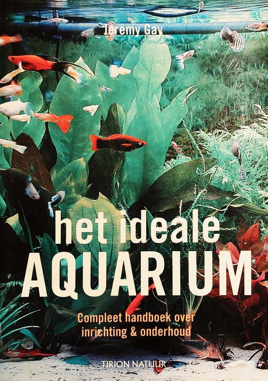 Het ideale aquarium