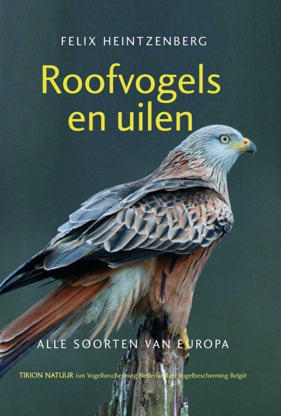 Roofvogels En Uilen