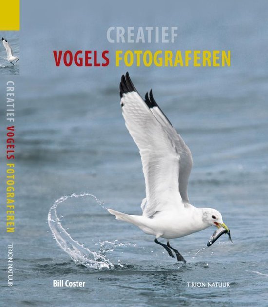 Creatief Vogels Fotograferen