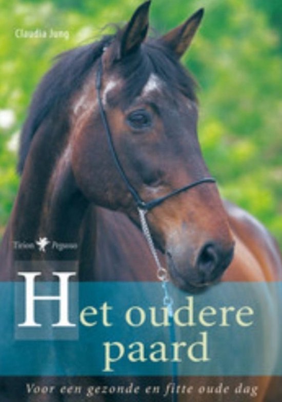 Het Oudere Paard