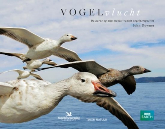 Vogelvlucht