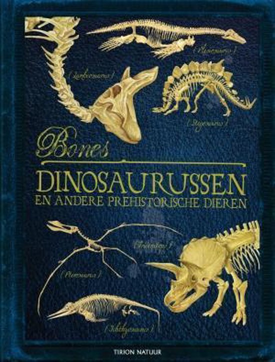 Bones dinosaurussen