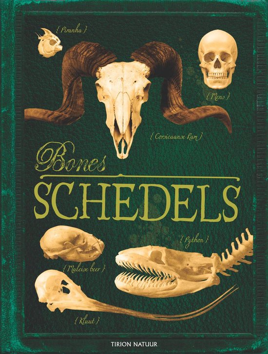 Bones schedels