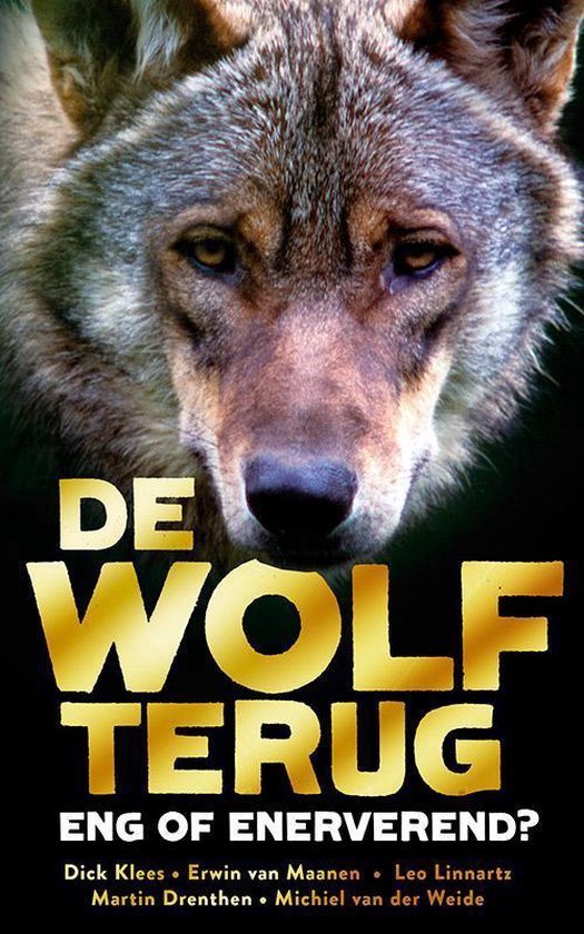 De wolf terug