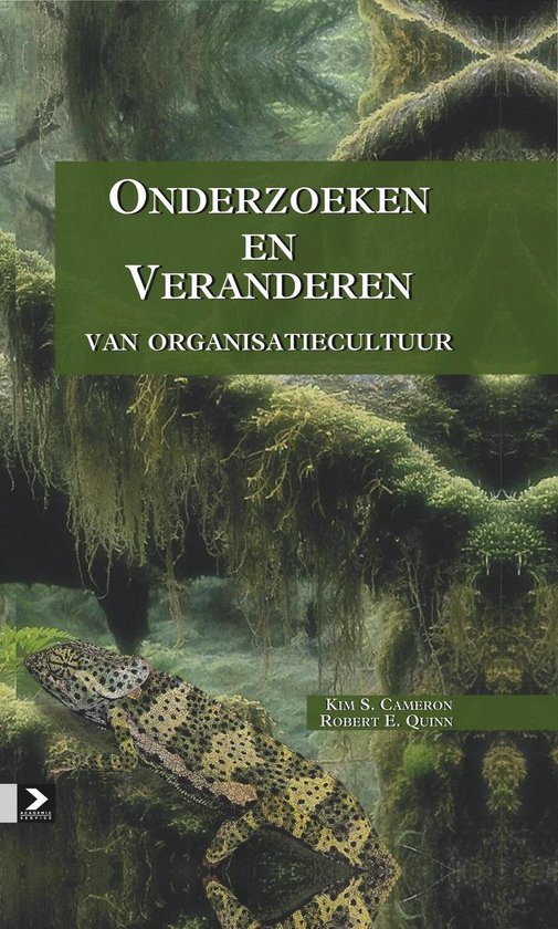 Onderzoeken en veranderen van organisatiecultuur