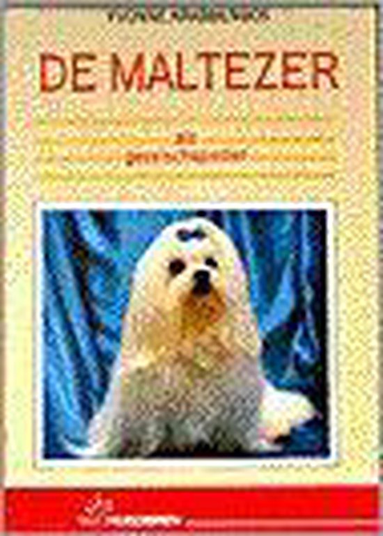 Maltezer als gezelschapsdier, de