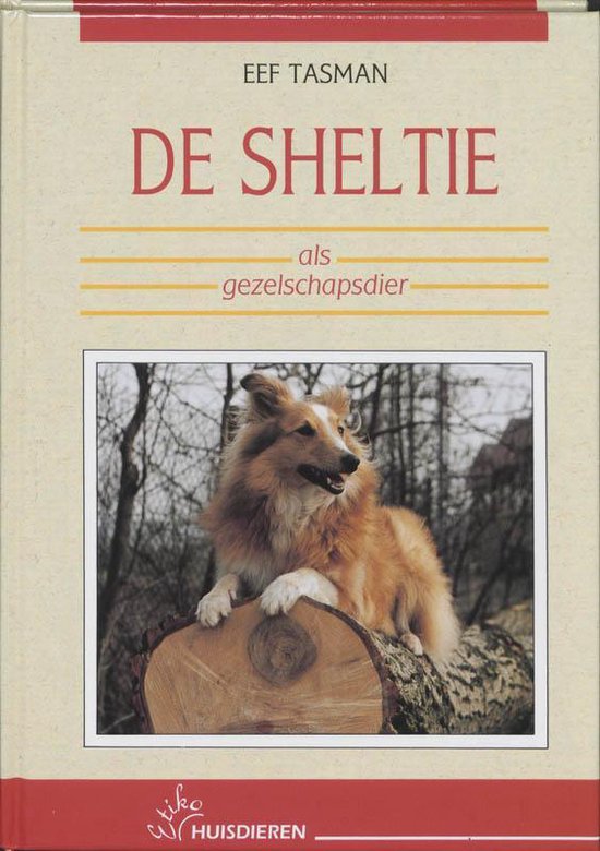 De Sheltie als gezelschapsdier