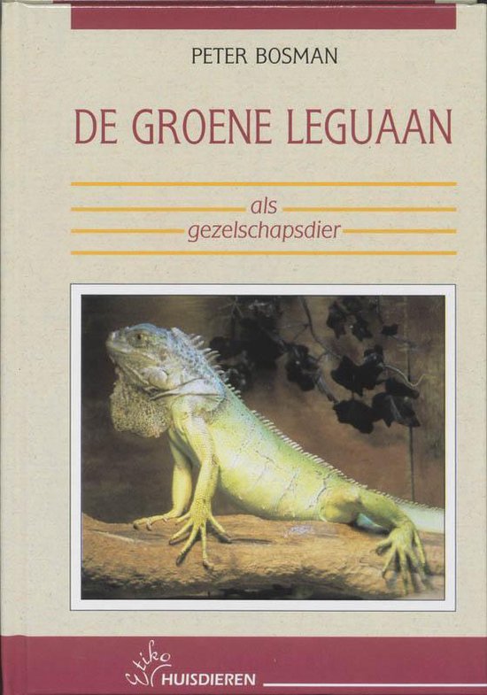 De groene leguaan als gezelschapsdier