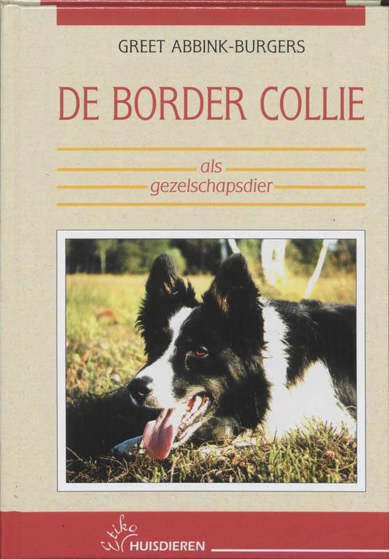 De border collie als gezelschapsdier