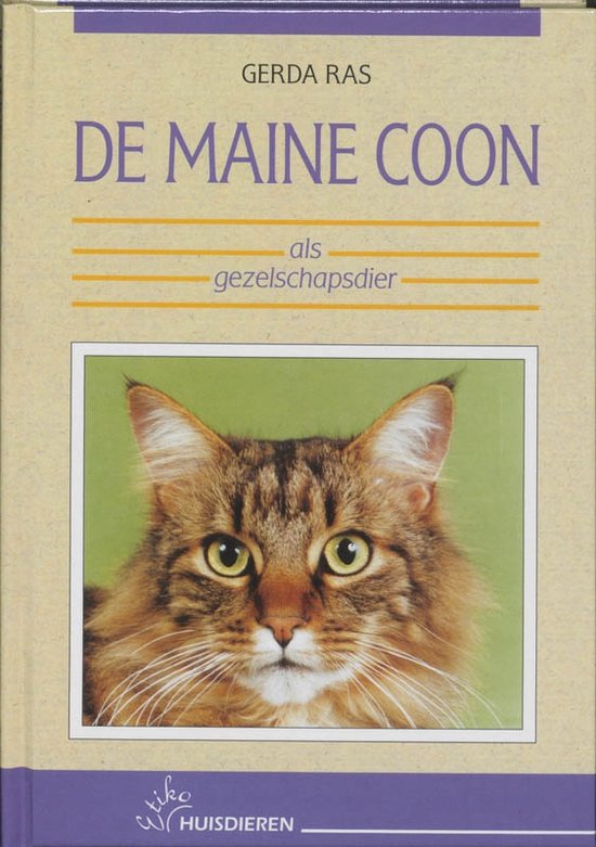 De maine coon als gezelschapsdier