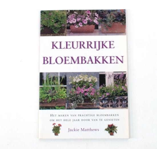 kleurrijke bloembakken