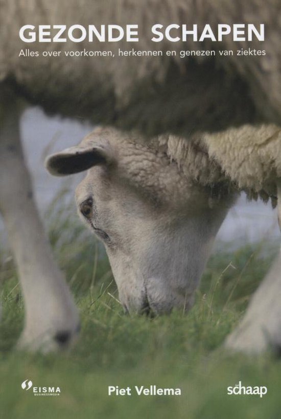 Gezonde schapen