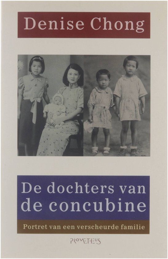 De dochters van de concubine - D. Chong