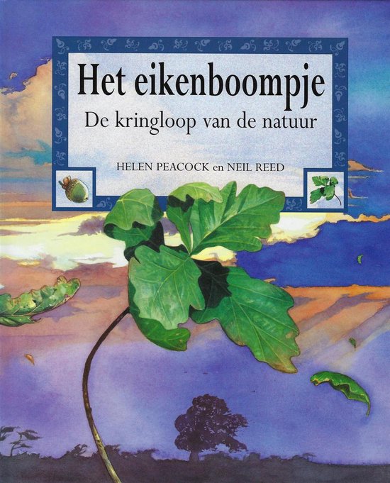 Eikenboompje