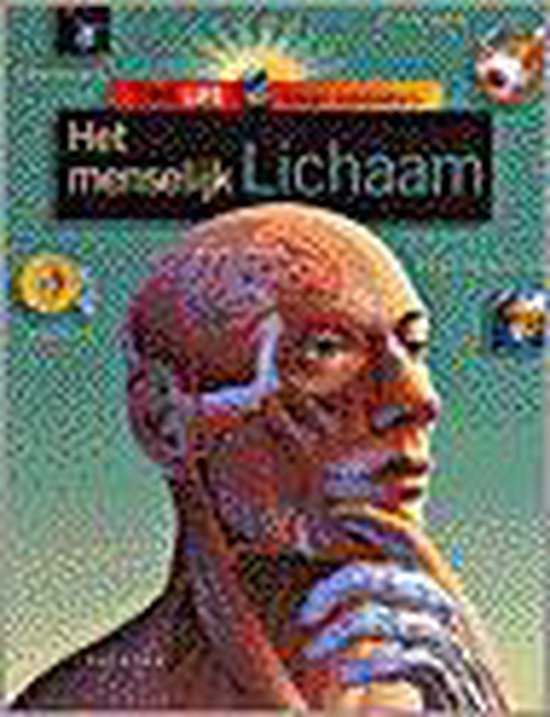 Het Menselijk Lichaam