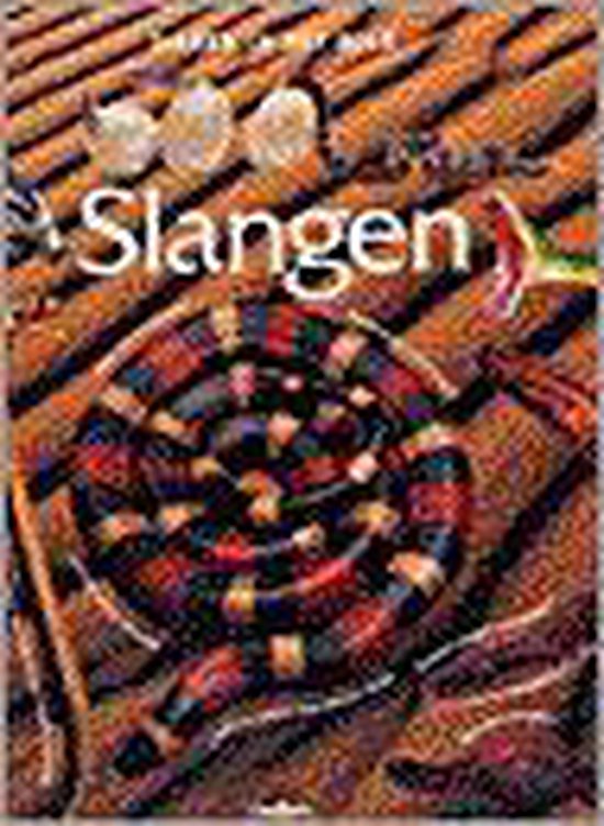 Slangen