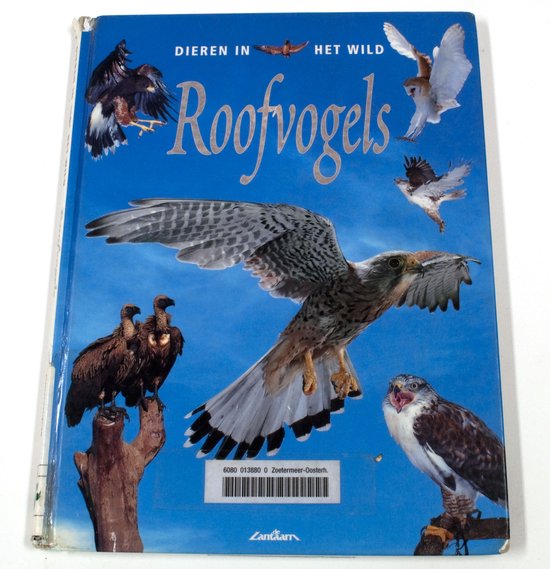 Roofvogels