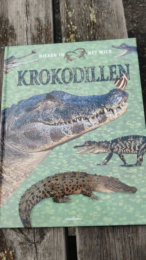 Krokodillen