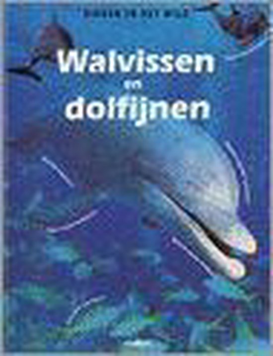 Walvissen En Dolfijnen