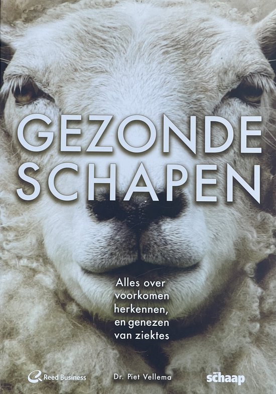 Gezonde schapen