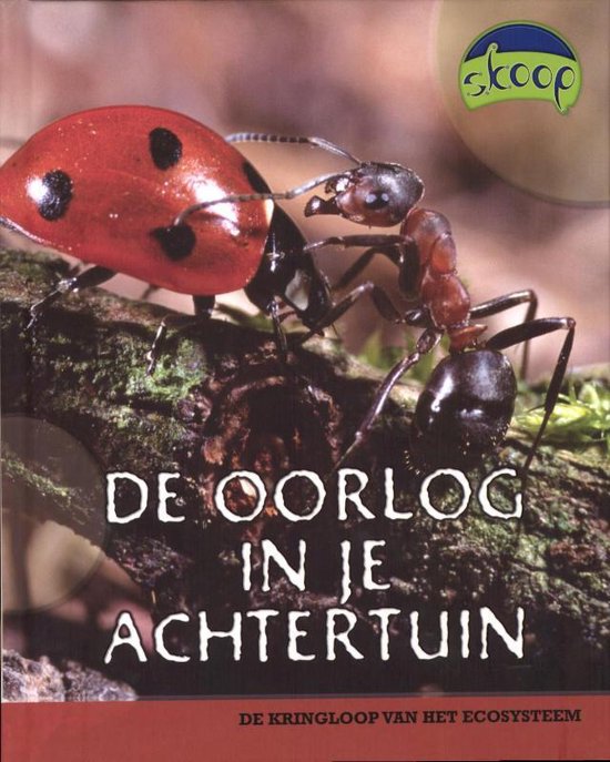 Skoop - De oorlog in je achtertuin