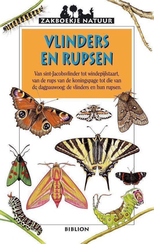 Vlinders En Rupsen