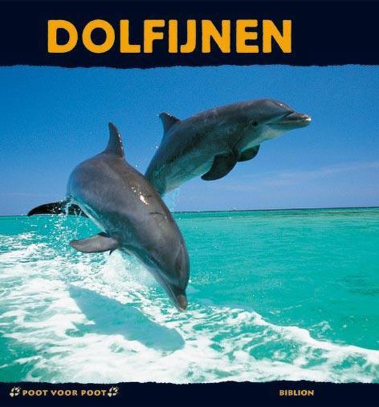 Dolfijnen