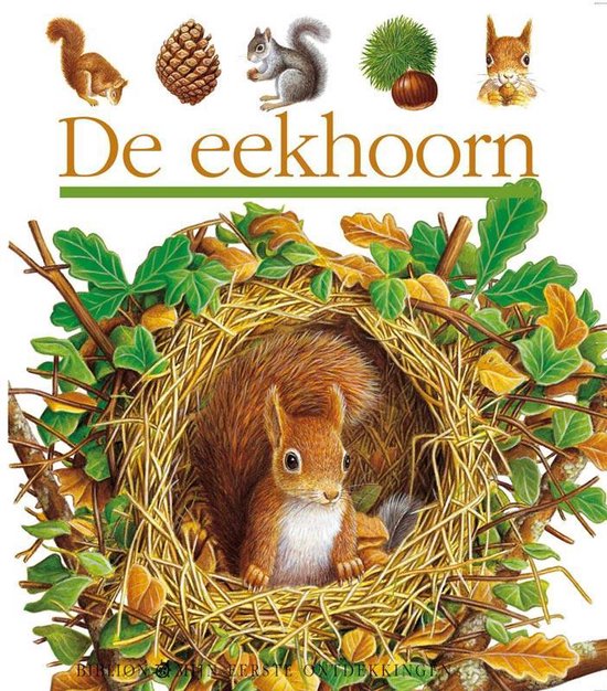 De eekhoorn