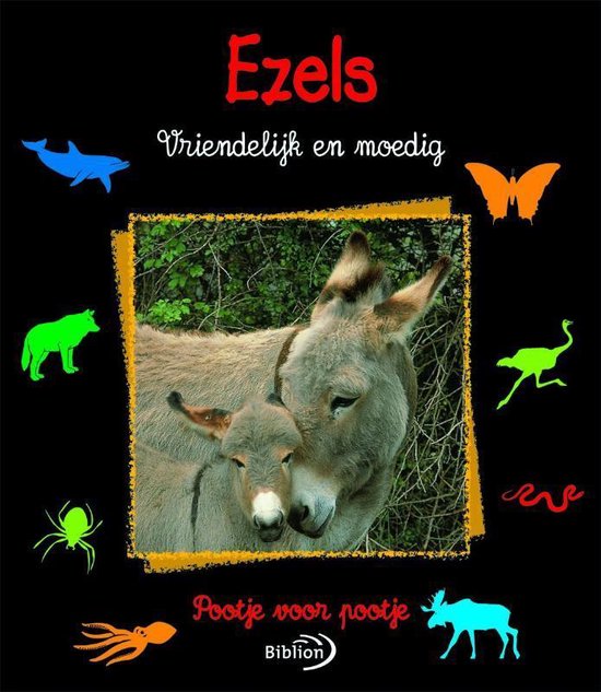 Ezels