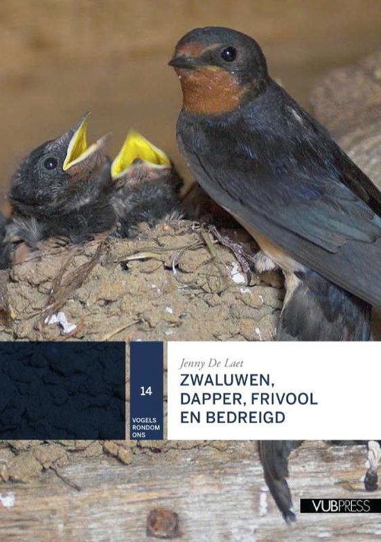 Zwaluwen, dapper, frivool en bedreigd