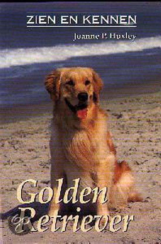 Golden Retriever - Zien en kennen