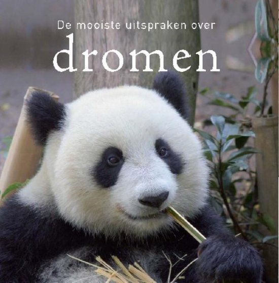 De mooiste uitspraken over  -  De mooiste uitspraken over Dromen