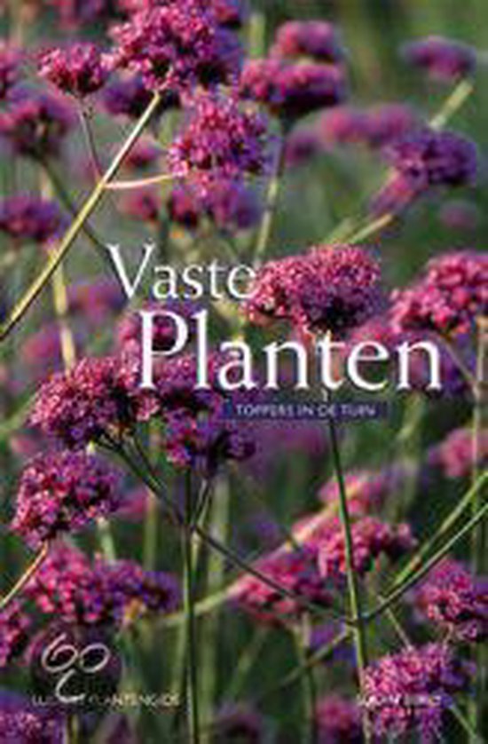 Vaste Planten