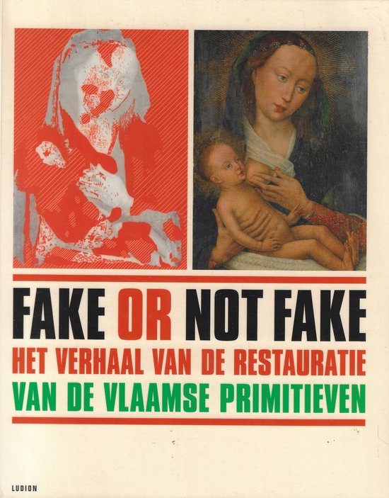 Fake not fake - Hélène Verougstraete, Roger Van Schoute, Till-Holger Borchert