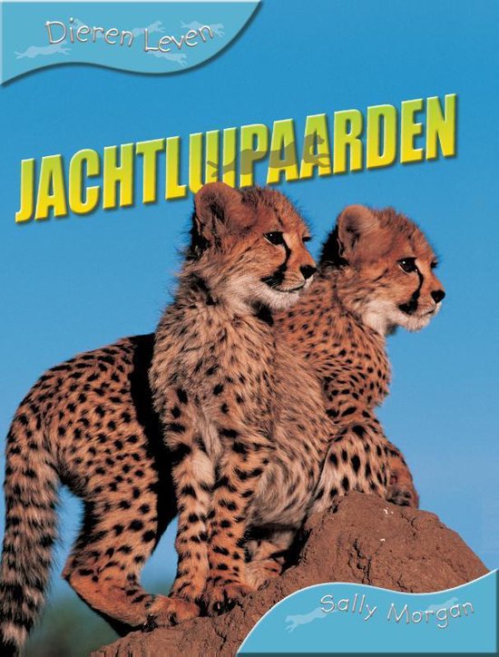 Dieren leven  -   Jachtluipaarden