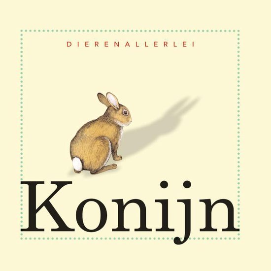 Dierenallerlei  -   Konijn