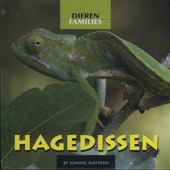 Dierenfamilies - Hagedissen