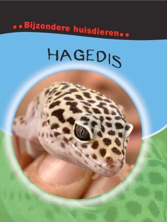 Bijzondere huisdieren  -   Hagedis