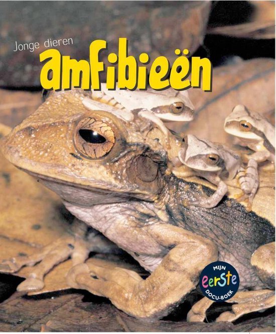 Jonge dieren  -   Amfibieen