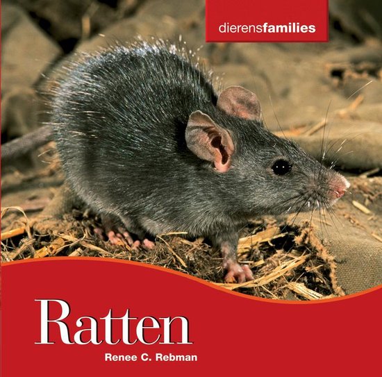 Dierenfamilies - Ratten