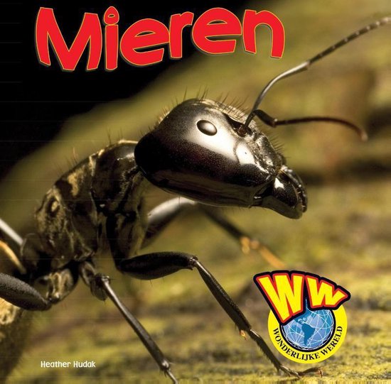 Wonderlijke wereld - Mieren