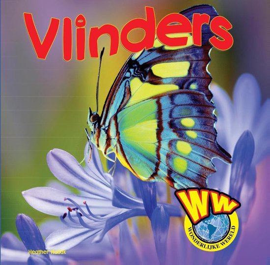 Wonderlijke wereld  -   Vlinders