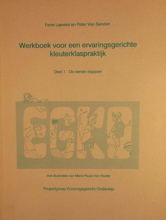 Werkboek voor een ervarigsgerichte kleuterklaspraktijk