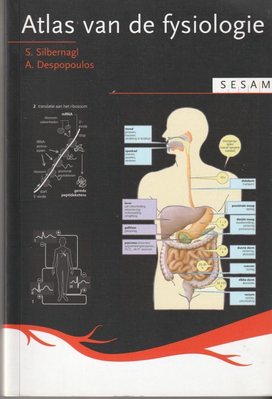 Sesam Atlas van de fysiologie