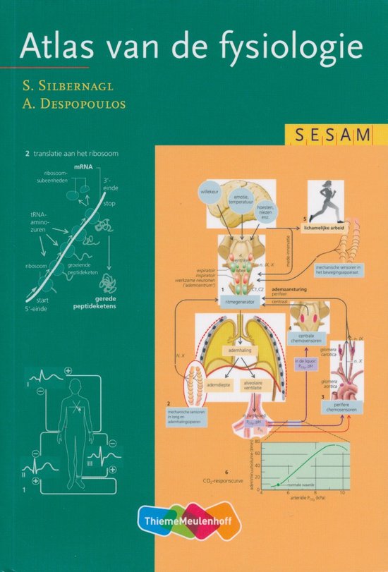 Sesam Atlas van de fysiologie