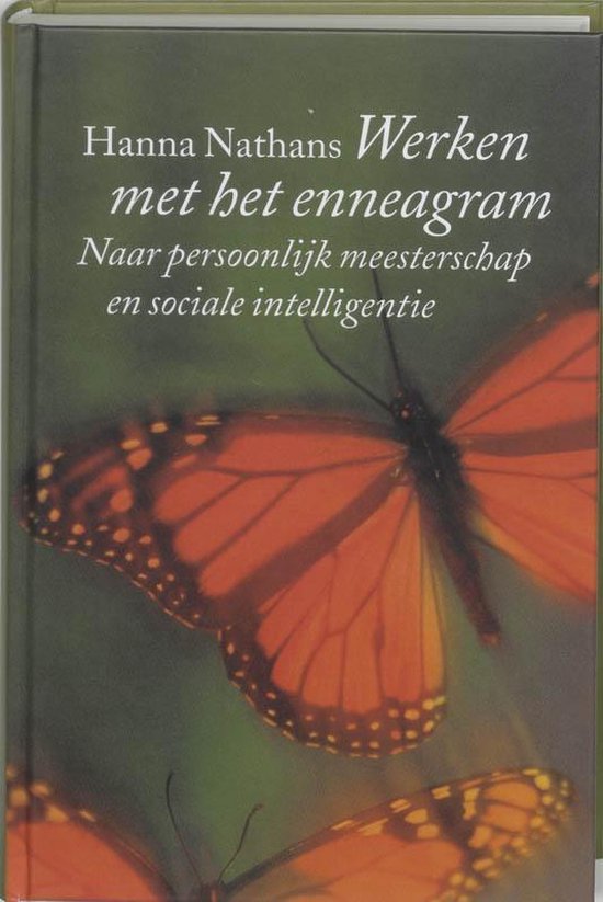 Werken met het enneagram