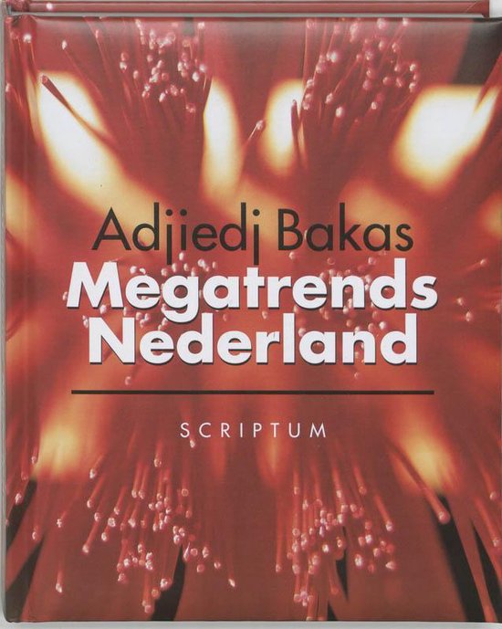 Megatrends Nederland