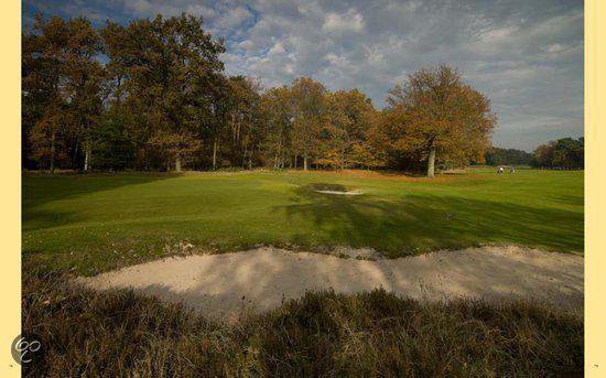 Hollandse golflandschappen