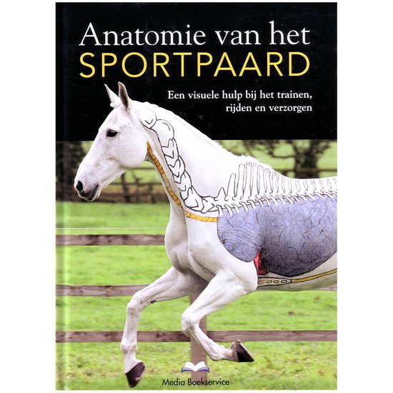 Anatomie van het sportpaard