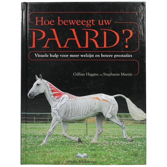 Hoe beweegt uw paard